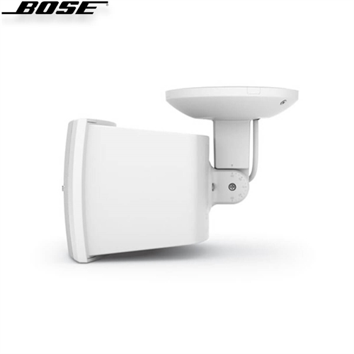 Loa Bose FreeSpace DS 40SE 12